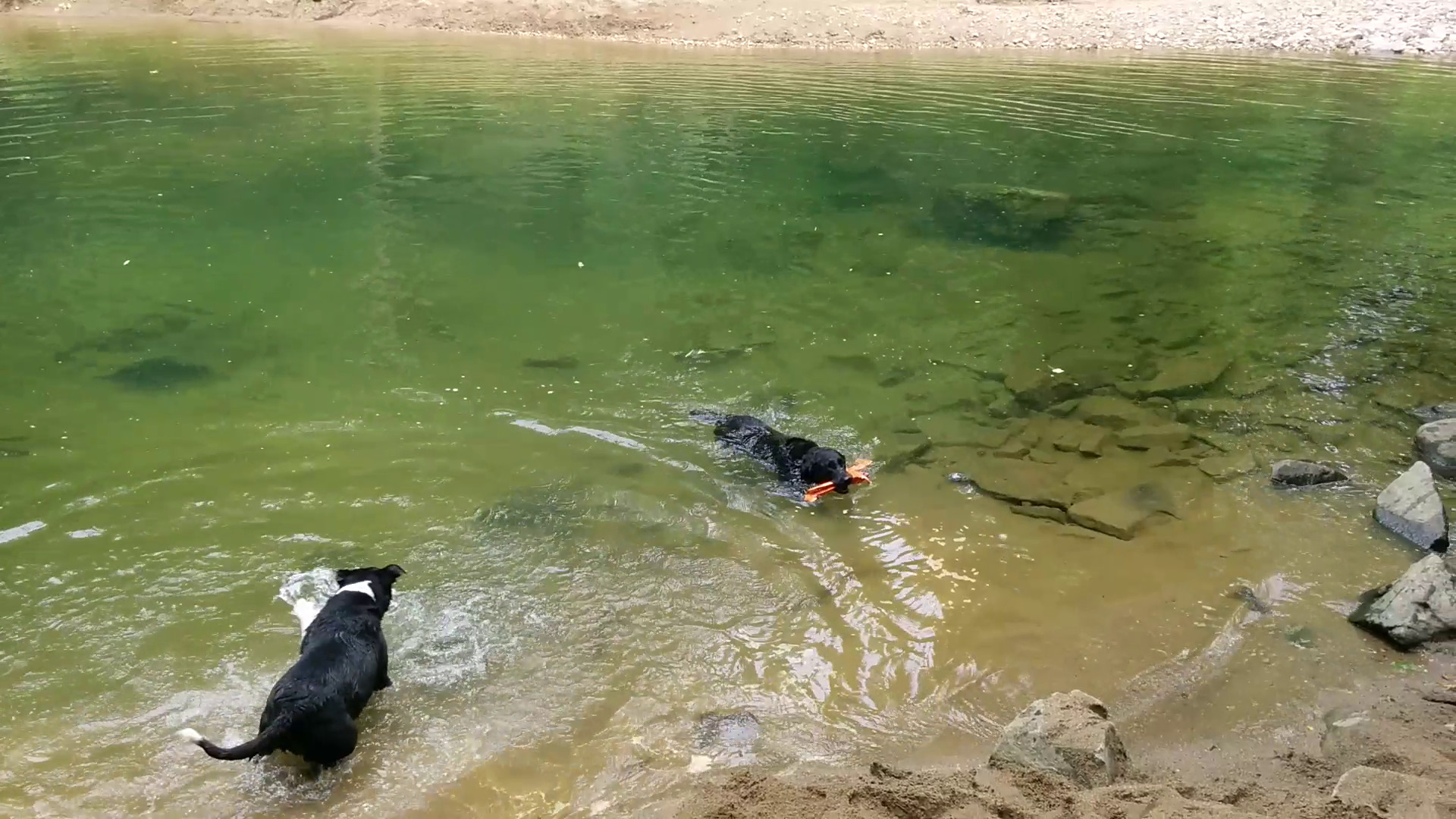 Splashing Instead